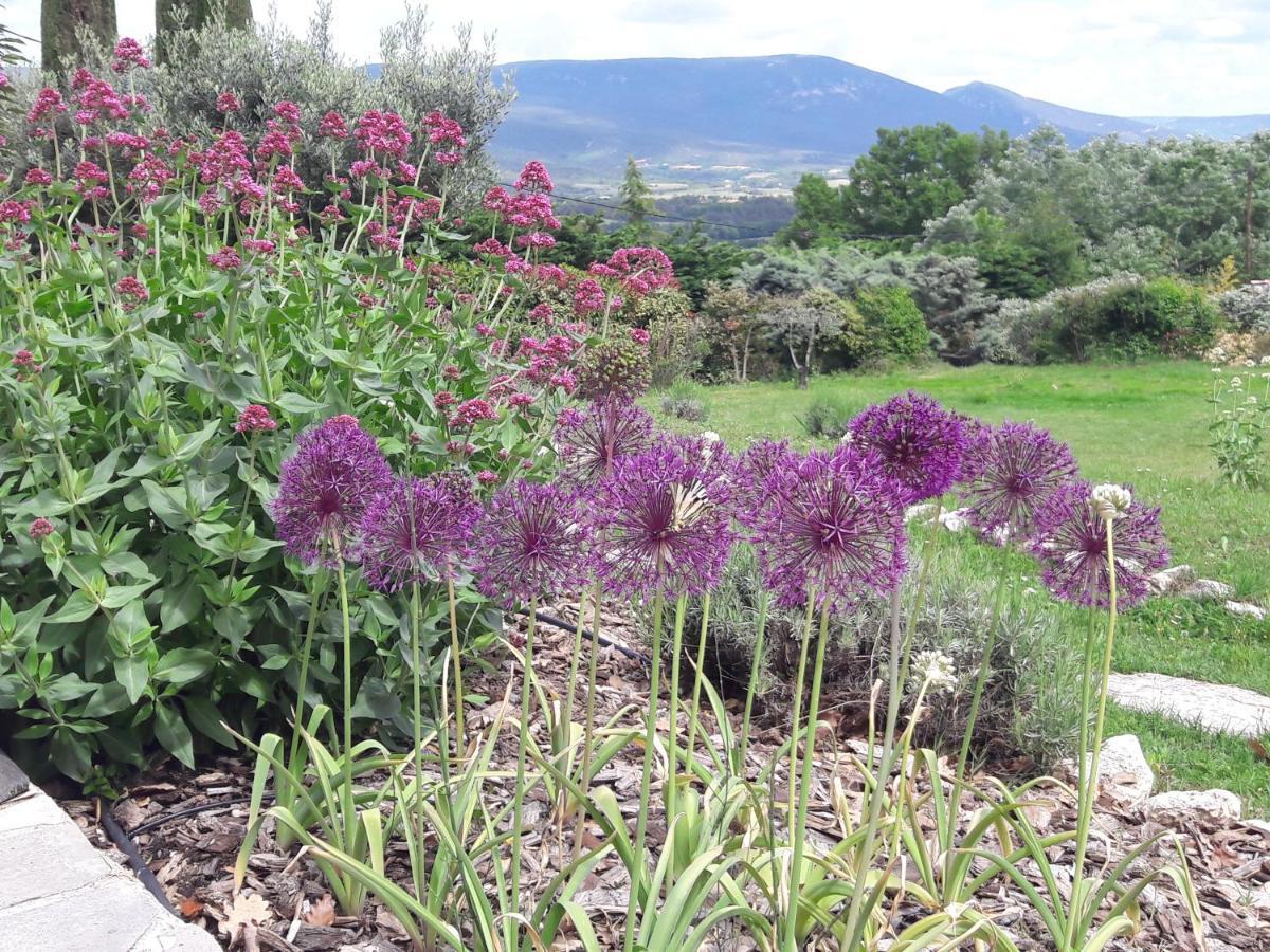 Les Cerises Bed and Breakfast Saint-Saturnin-les-Apt Εξωτερικό φωτογραφία