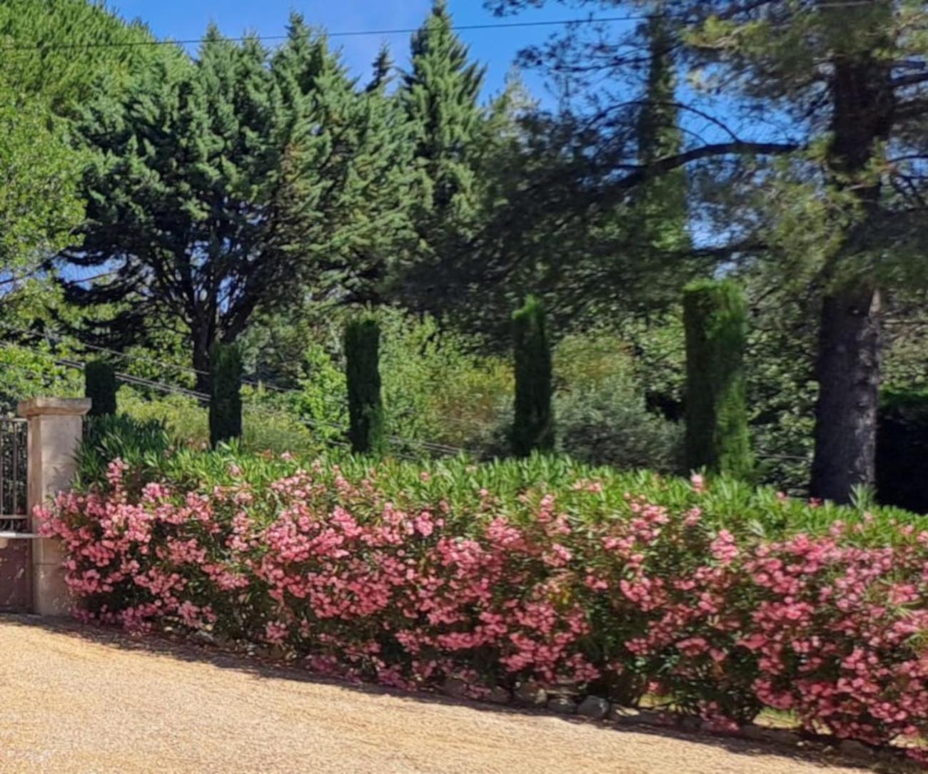 Les Cerises Bed and Breakfast Saint-Saturnin-les-Apt Εξωτερικό φωτογραφία